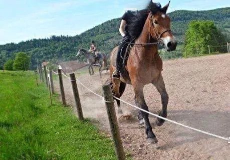 Stage d'initiation équestre à Saint-Maurice-sur-Moselle