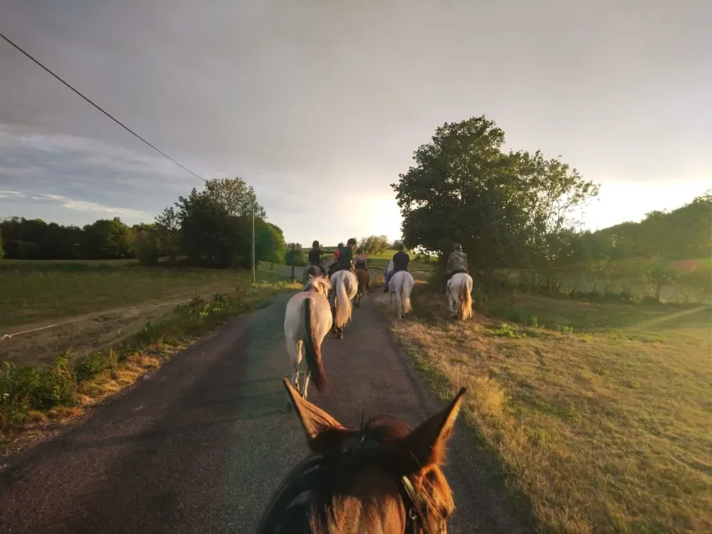 Équitation adulte à Saint-Maurice-sur-Moselle