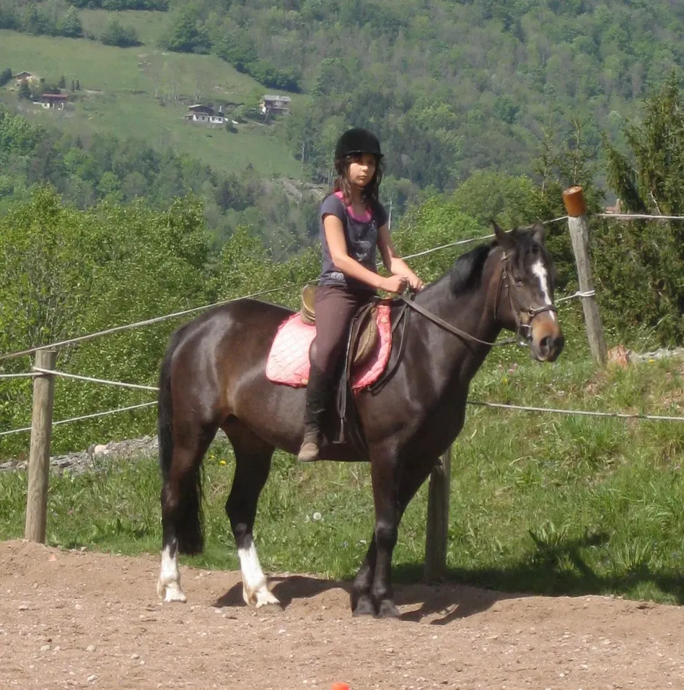 Initiation à l'équitation à Saint-Maurice-sur-Moselle