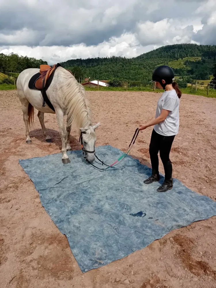 CENTRE HIPPIQUE DU BALLON D'ALSACE (4)