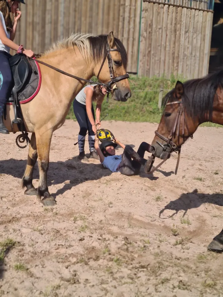 CENTRE HIPPIQUE DU BALLON D'ALSACE (13)
