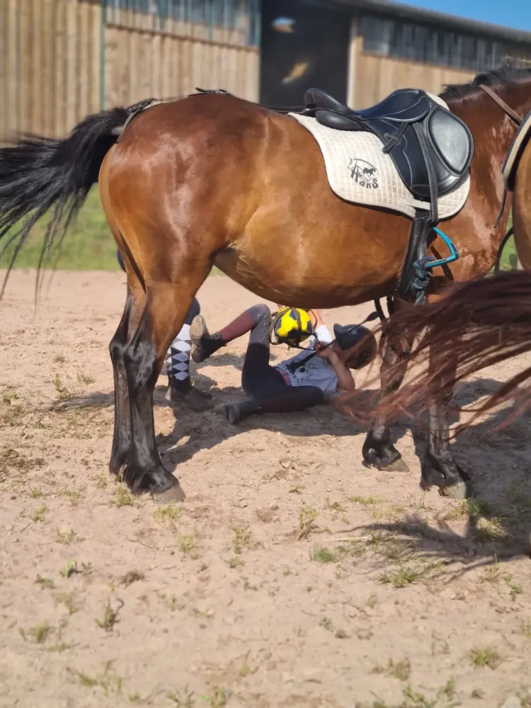 CENTRE HIPPIQUE DU BALLON D'ALSACE (17)
