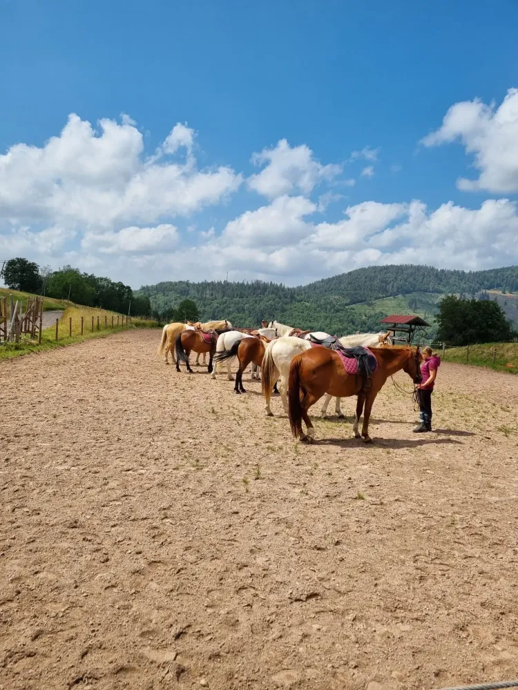 CENTRE HIPPIQUE DU BALLON D'ALSACE (56)
