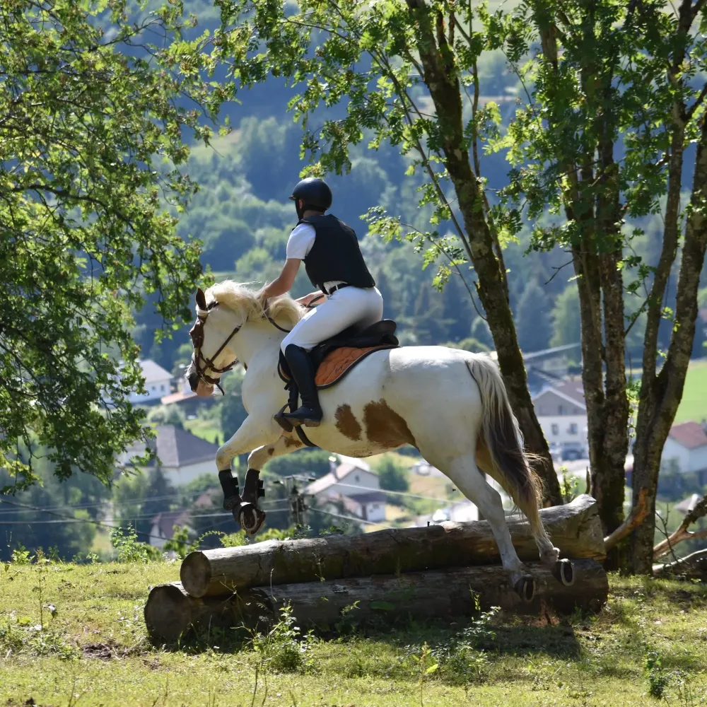 CENTRE HIPPIQUE DU BALLON D'ALSACE (34)
