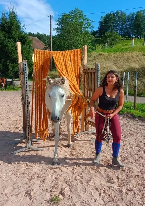CENTRE HIPPIQUE DU BALLON D'ALSACE (40)
