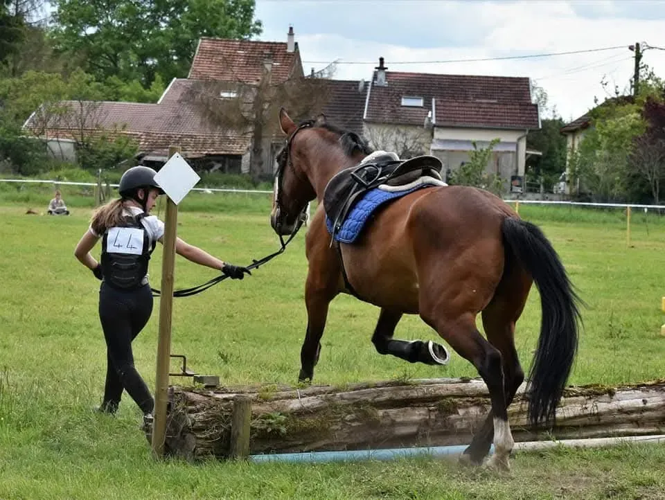 CENTRE HIPPIQUE DU BALLON D'ALSACE (60)