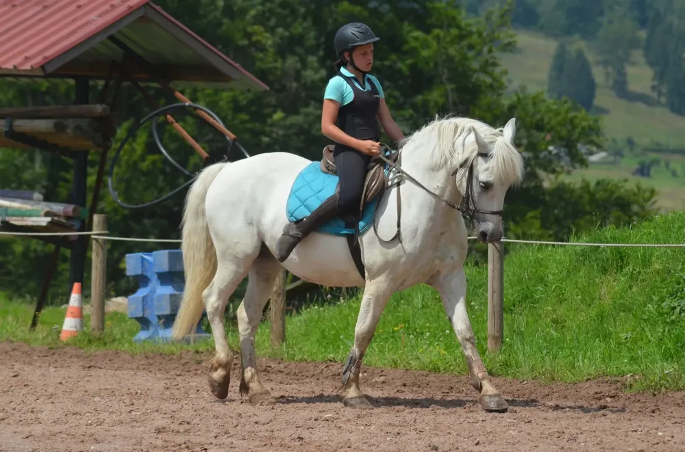 CENTRE HIPPIQUE DU BALLON D'ALSACE (63)