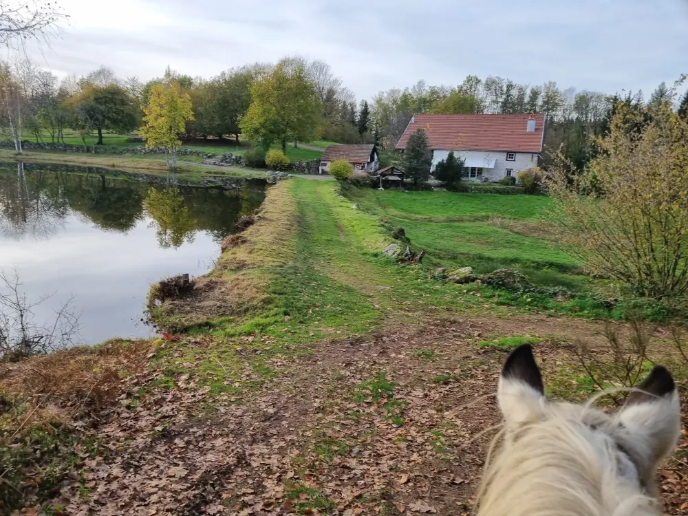 CENTRE HIPPIQUE DU BALLON D'ALSACE (59)