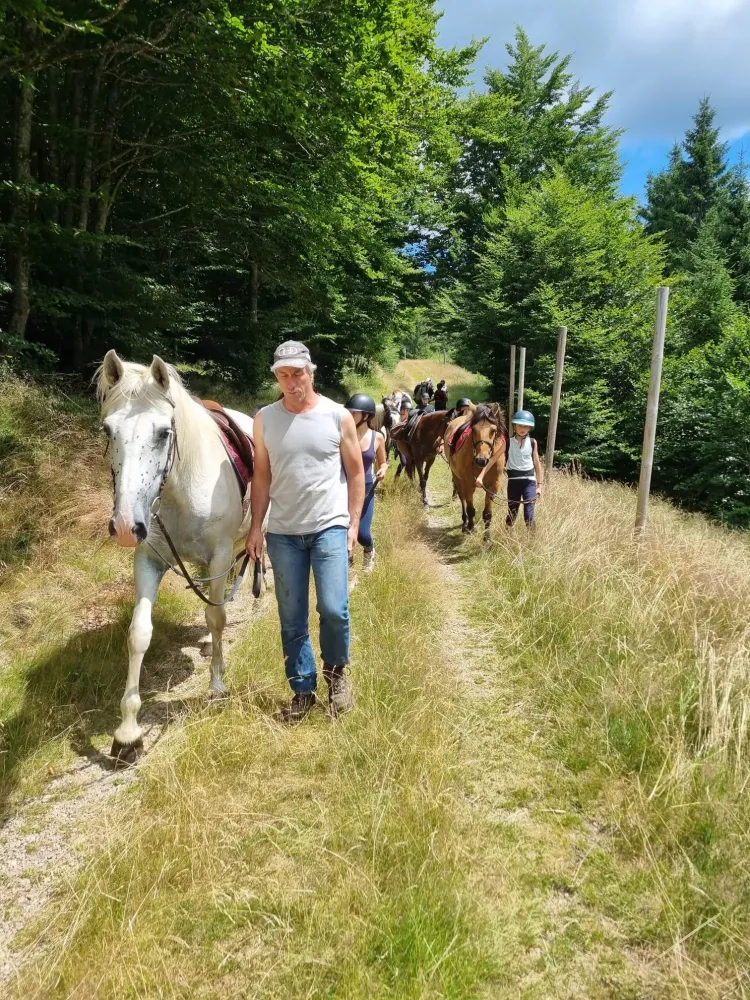 CENTRE HIPPIQUE DU BALLON D'ALSACE (10)