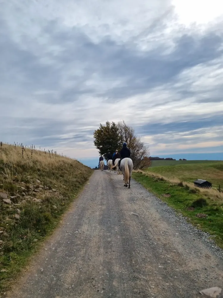 CENTRE HIPPIQUE DU BALLON D'ALSACE (2)