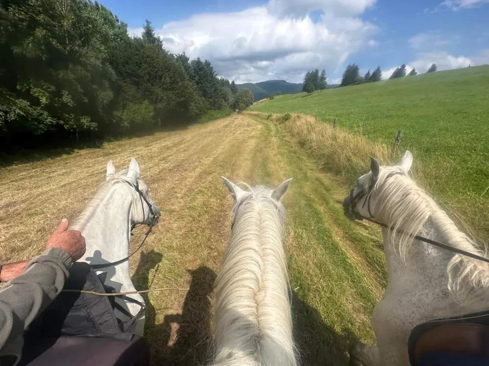 CENTRE HIPPIQUE DU BALLON D'ALSACE (12)