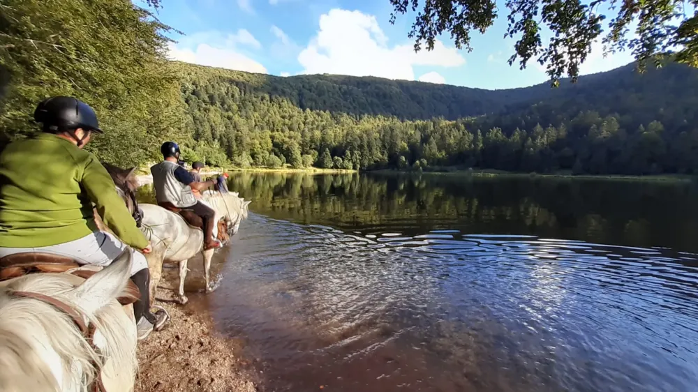 CENTRE HIPPIQUE DU BALLON D'ALSACE (17)