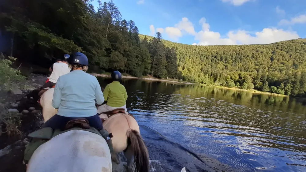 CENTRE HIPPIQUE DU BALLON D'ALSACE (19)