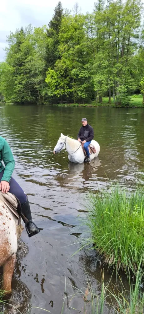 CENTRE HIPPIQUE DU BALLON D'ALSACE (22)