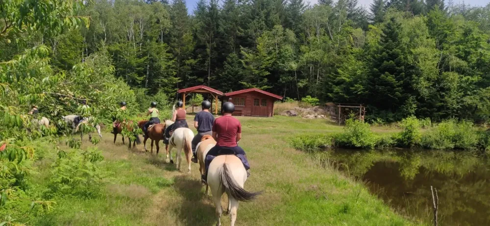 CENTRE HIPPIQUE DU BALLON D'ALSACE (23)