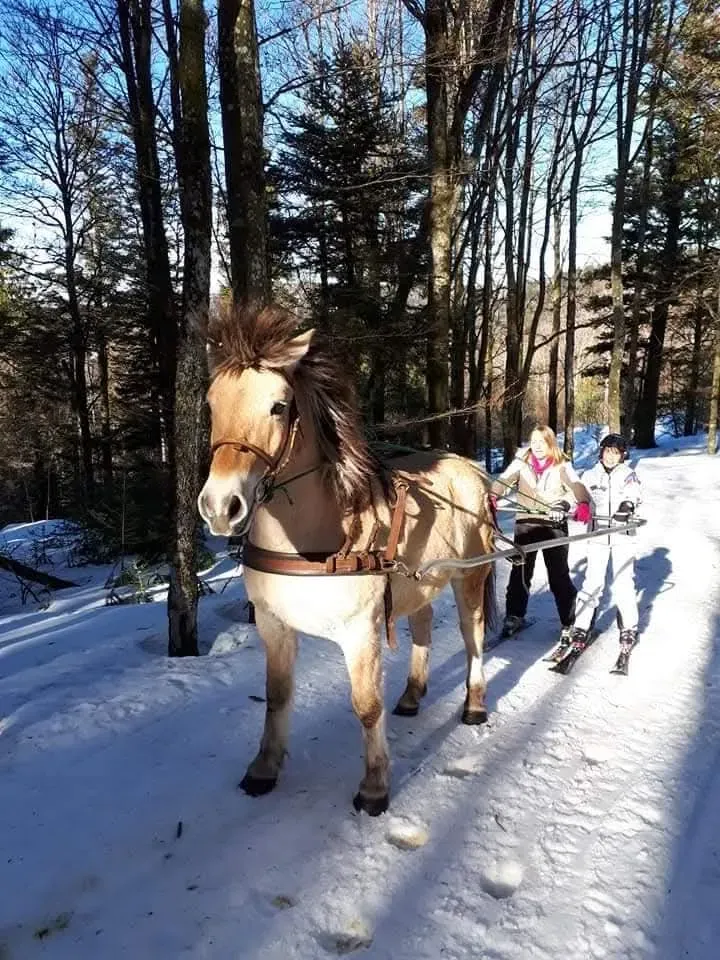 CENTRE HIPPIQUE DU BALLON D'ALSACE (37)