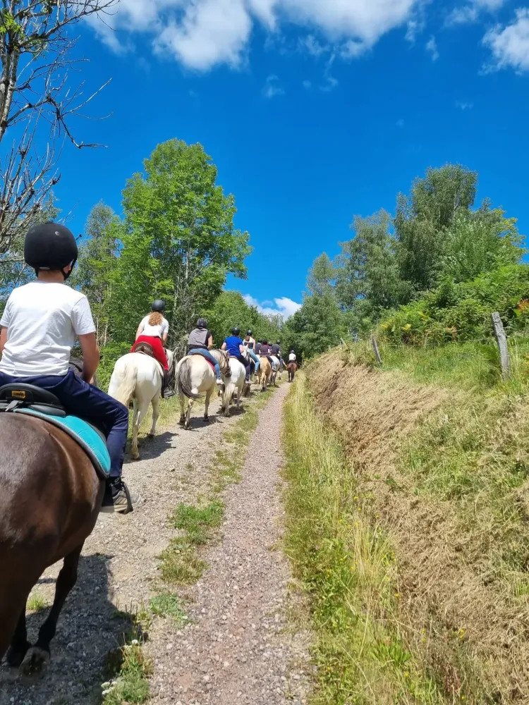 CENTRE HIPPIQUE DU BALLON D'ALSACE (34)