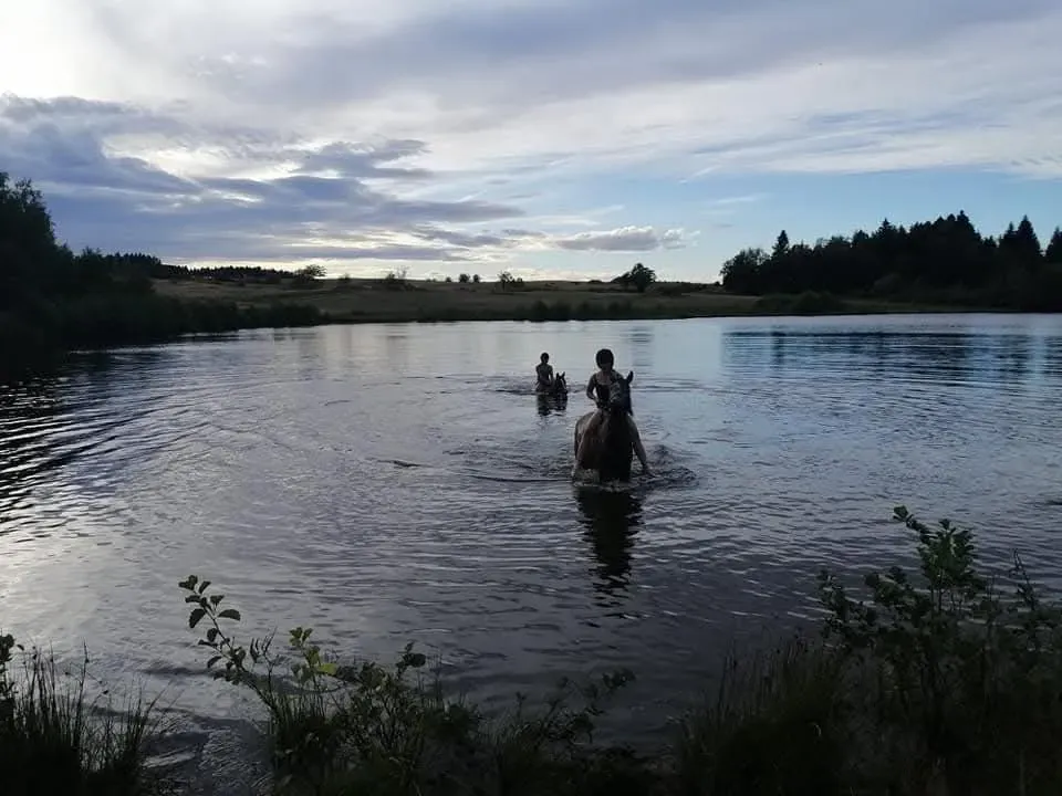 CENTRE HIPPIQUE DU BALLON D'ALSACE (36)