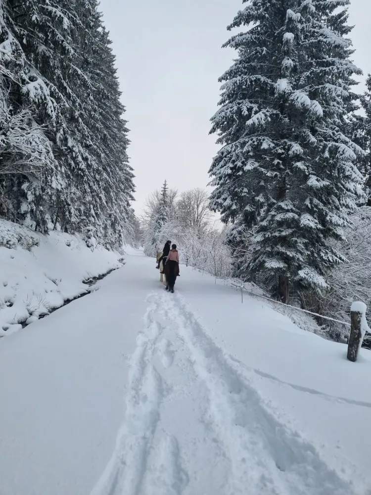 CENTRE HIPPIQUE DU BALLON D'ALSACE (2)