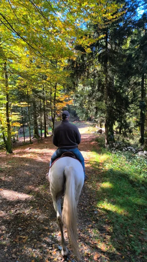 CENTRE HIPPIQUE DU BALLON D'ALSACE (8)