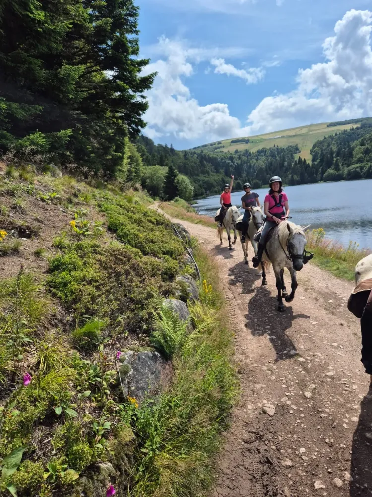 CENTRE HIPPIQUE DU BALLON D'ALSACE (12)