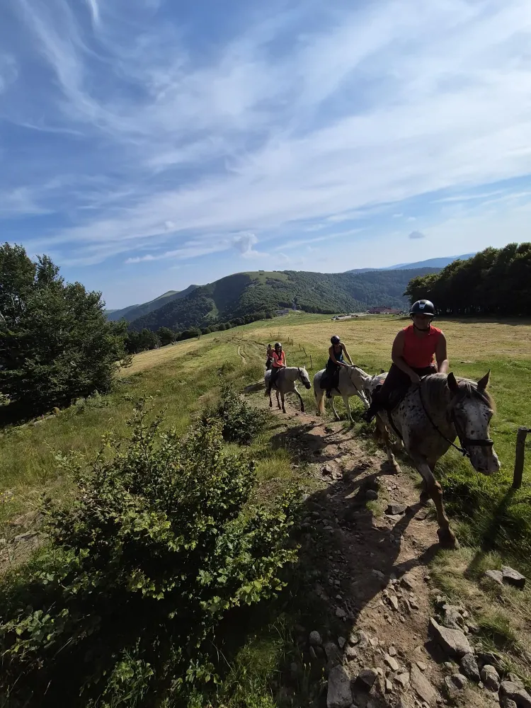 CENTRE HIPPIQUE DU BALLON D'ALSACE (15)
