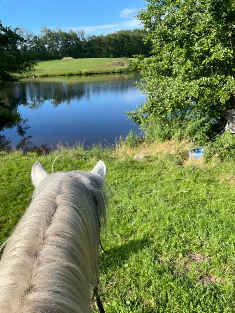 CENTRE HIPPIQUE DU BALLON D'ALSACE (18)