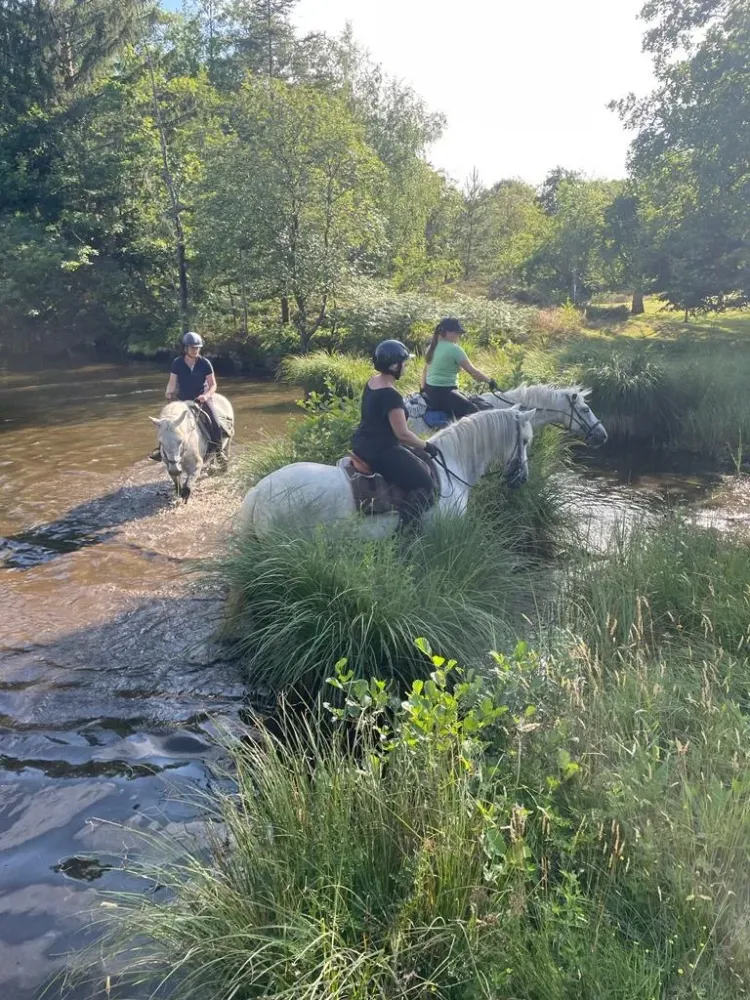 CENTRE HIPPIQUE DU BALLON D'ALSACE (19)