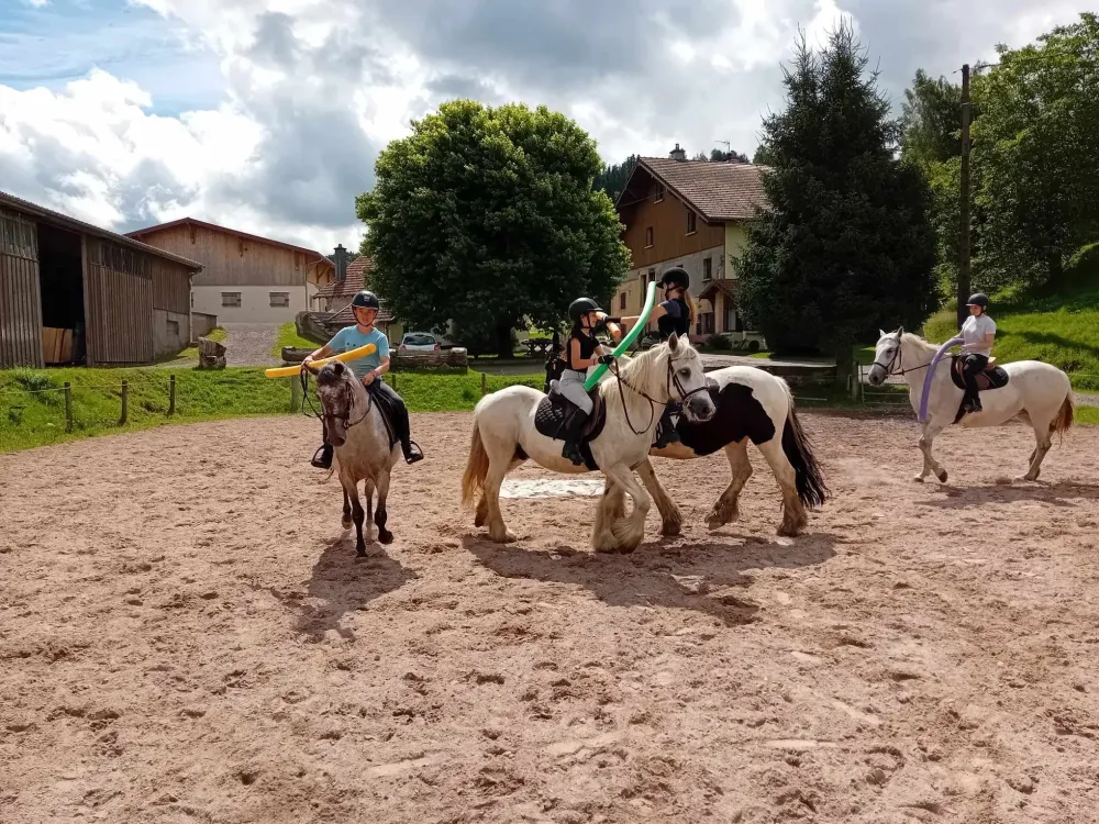 CENTRE HIPPIQUE DU BALLON D'ALSACE (3)