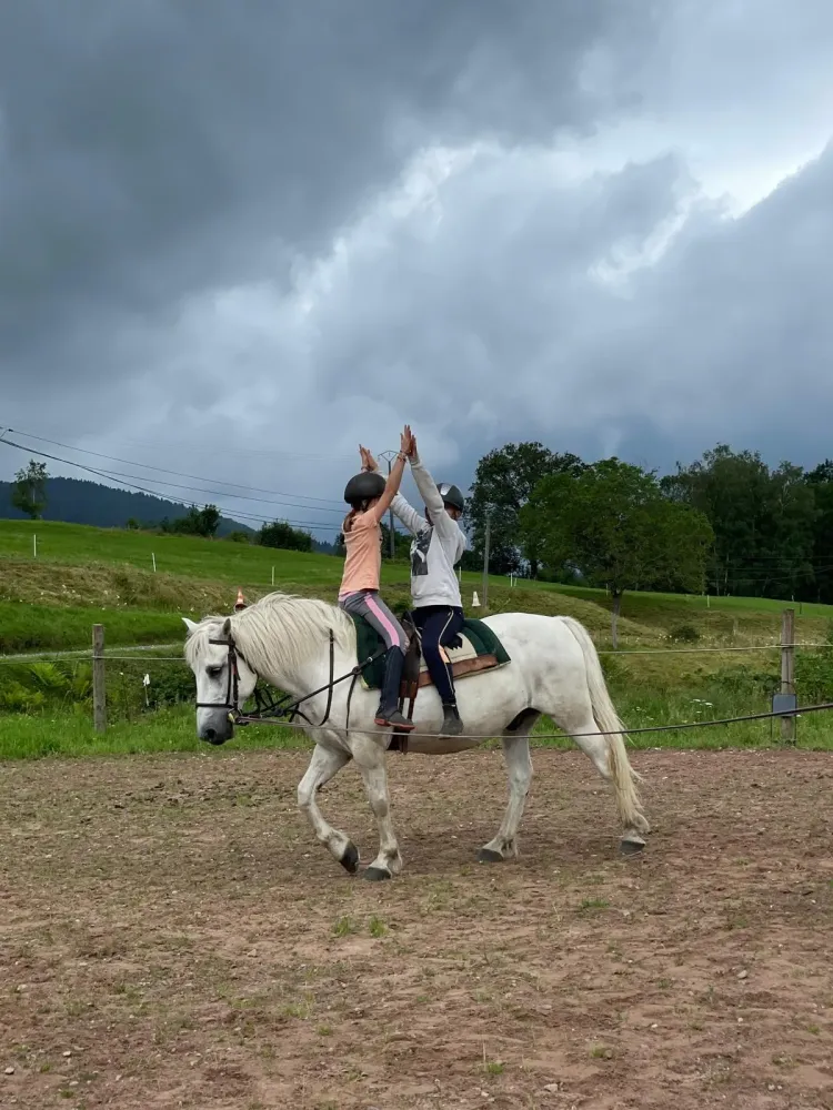 CENTRE HIPPIQUE DU BALLON D'ALSACE (5)