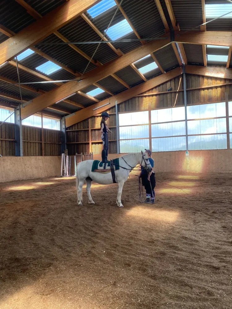 CENTRE HIPPIQUE DU BALLON D'ALSACE (8)