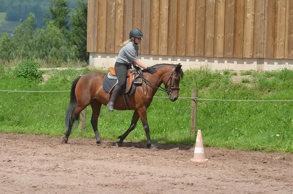 CENTRE HIPPIQUE DU BALLON D'ALSACE (11)