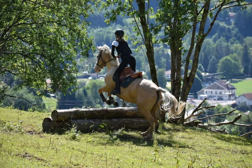 CENTRE HIPPIQUE DU BALLON D'ALSACE (12)